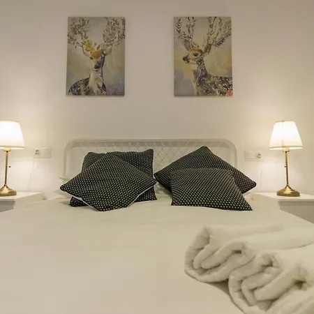 Jorge Juan, Acogedor Apartamento En El Centro De Apartamento